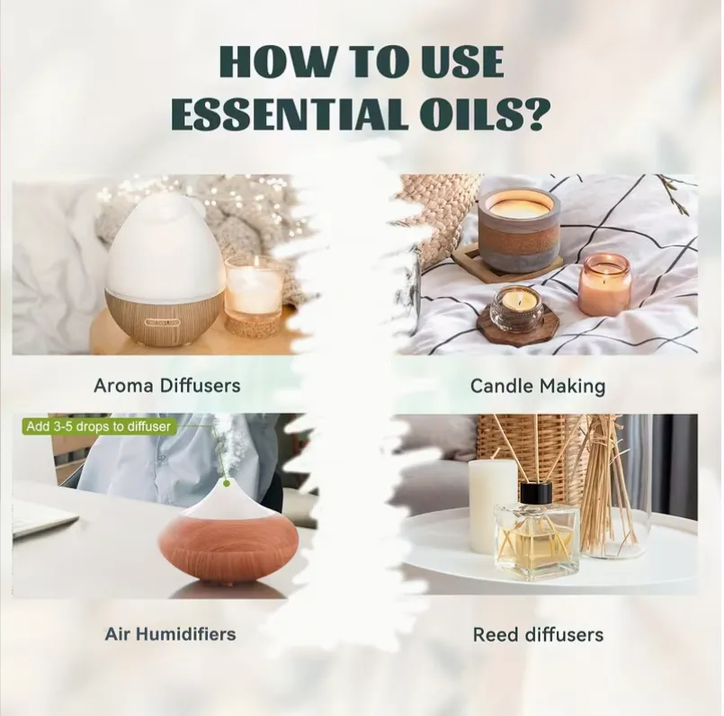 Sans titre - Copie - Copie - Copie.webp