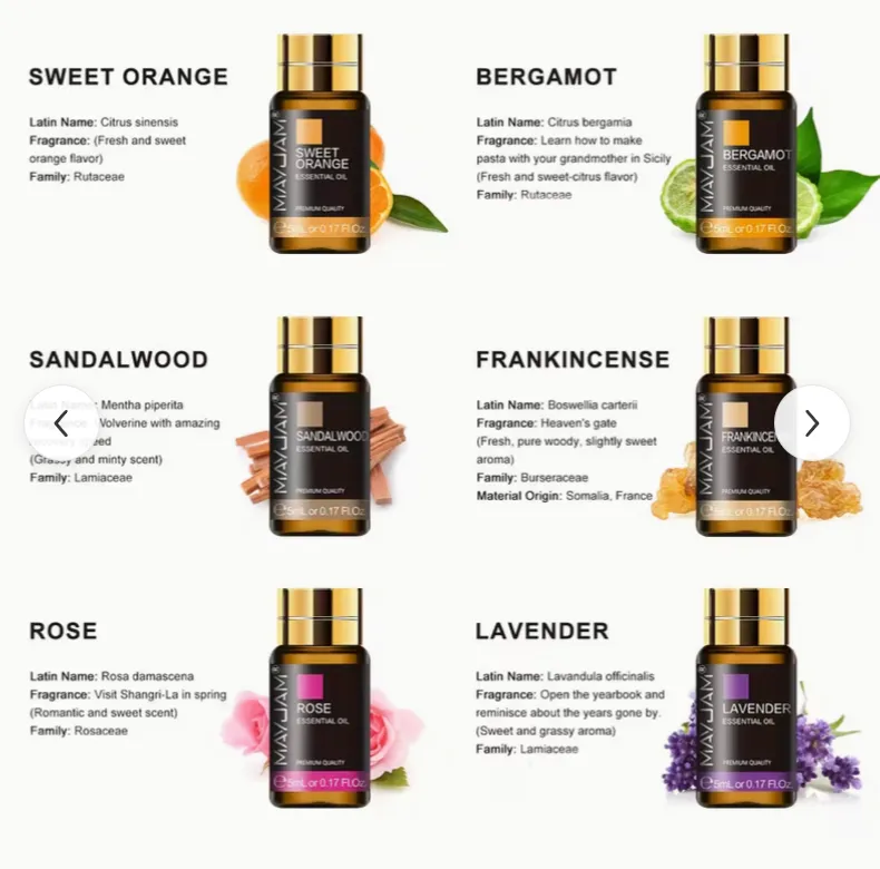 Capture d’écran 2026-01-18 170606jjh.webp