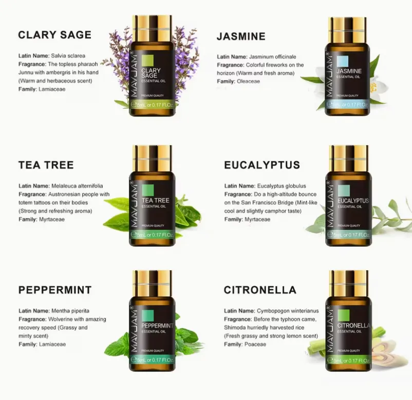 Sans titre - Copie - Copie.webp