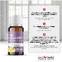 eric-favre-pure-collagen-plus-saveur-peche-citron-10-ampoules-15-ml.webp