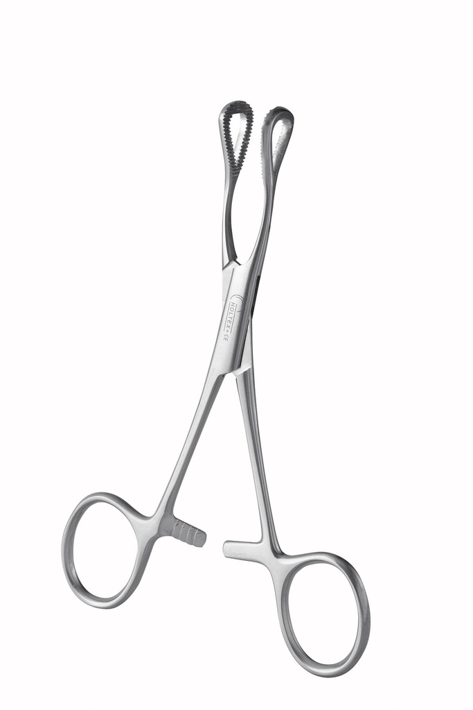 [I16-040-250] Spengler - Pince en coeur 25cm 