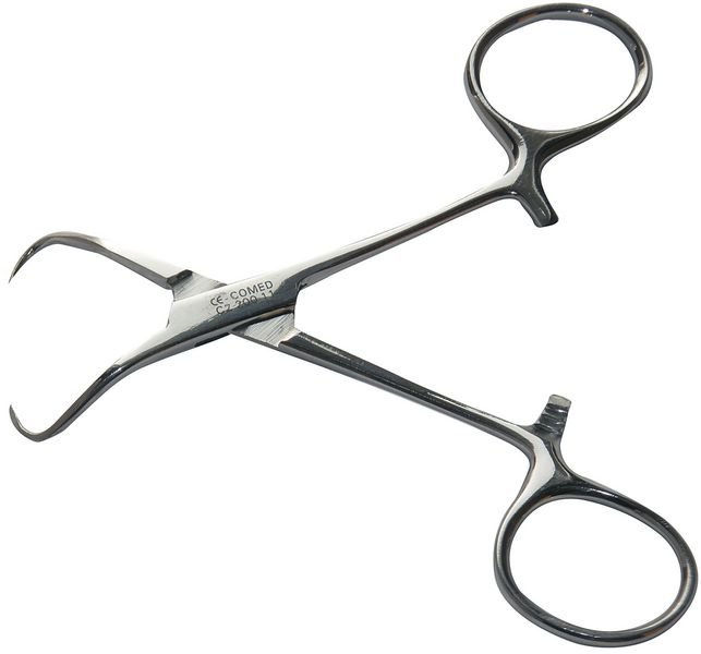 [II16-043-080] Spengler - Pince backhauss a champs 9cm