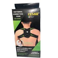 CESAR - Vertebral correction zone 