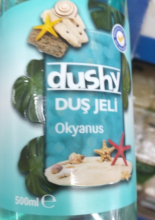 Dushy - Gel Douche 500ml Okyanus