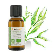 Essential Oil Tea Tree 10ml